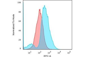 CD137 antibody  (AA 19-188)