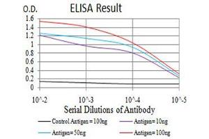 Black line: Control Antigen (100 ng),Purple line: Antigen (10 ng), Blue line: Antigen (50 ng), Red line:Antigen (100 ng) (SH3GL1 antibody  (AA 12-119))