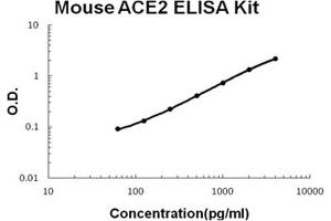 Mouse ACE2 PicoKine ELISA Kit standard curve
