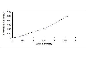 Typical standard curve