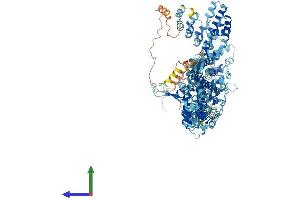 AlphaFold protein structure predicition of Mouse Recombinant Trpa1 Protein, UniprotID Q8BLA8