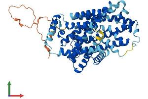 AlphaFold protein structure predicition of Human Recombinant SLC7A11 Protein, UniprotID Q9UPY5