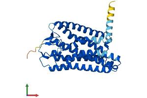 AlphaFold protein structure predicition of Human Recombinant OR4P4 Protein, UniprotID Q8NGL7 (OR4P4 Protein (AA 1-312) (His tag))