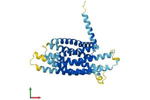 AlphaFold protein structure predicition of Mouse Recombinant Tas2r124 Protein, UniprotID Q7M718 (TAS2R124 Protein (AA 1-309) (His tag))
