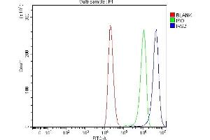 Flow Cytometry analysis of 293T cells using anti-IRS2 antibody (ABIN7601988).