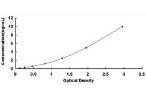 Typical standard curve (DNMT3B ELISA Kit)