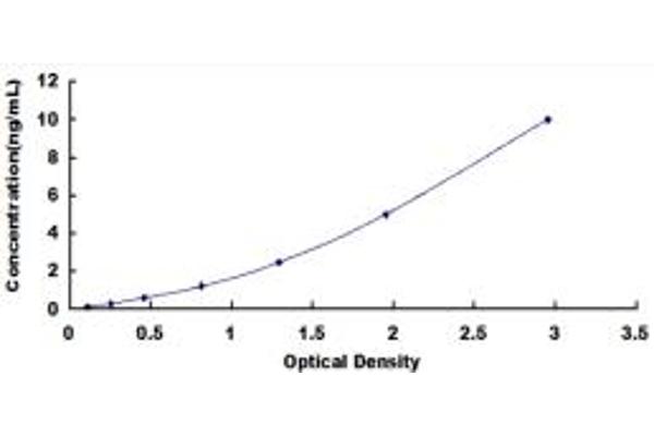 DNMT3B ELISA Kit