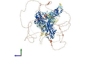 AlphaFold protein structure predicition of Human Recombinant SYNJ1 Protein, UniprotID O43426