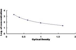 Typical standard curve (Relaxin 1 ELISA Kit)