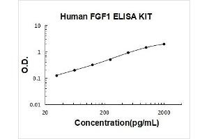 Human FGF1 PicoKine ELISA Kit standard curve