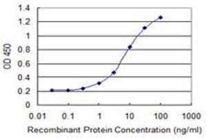 Detection limit for recombinant GST tagged LITAF is 0. (LITAF antibody  (AA 1-161))