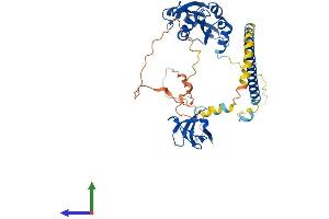AlphaFold protein structure predicition of Human Recombinant DBNL Protein, UniprotID Q9UJU6 (DBNL Protein (AA 1-430) (His tag))