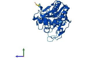 AlphaFold protein structure predicition of Human Recombinant LACTB2 Protein, UniprotID Q53H82 (LACTB2 Protein (AA 1-288) (His tag))