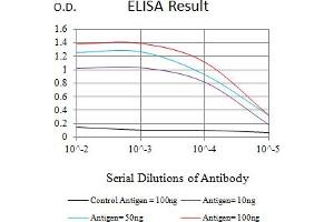 Black line: Control Antigen (100 ng),Purple line: Antigen (10 ng), Blue line: Antigen (50 ng), Red line:Antigen (100 ng) (TNFRSF8 antibody  (AA 19-379))