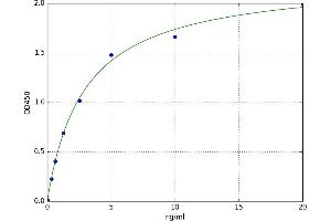 Low Density Lipoprotein Receptor-Related Protein 4 (LRP4) ELISA Kit