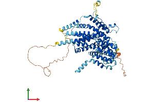 AlphaFold protein structure predicition of Mouse Recombinant Slc13a3 Protein, UniprotID Q91Y63