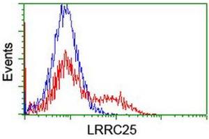 HEK293T cells transfected with either RC209911 overexpress plasmid (Red) or empty vector control plasmid (Blue) were immunostained by anti-LRRC25 antibody (ABIN2455890), and then analyzed by flow cytometry.
