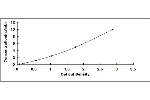 SYN1 ELISA Kit