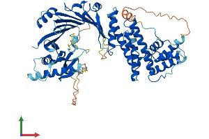 AlphaFold protein structure predicition of Human Recombinant ZWILCH Protein, UniprotID Q9H900