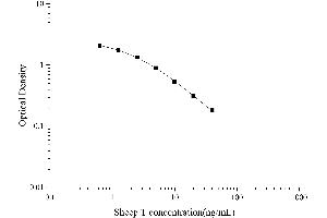 Typical Standard Curve