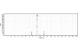 anti-CD38 (Daratumumab Biosimilar) antibody