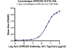 ELISA image for G Protein-Coupled Receptor, Family C, Group 5, Member D (GPRC5D) (AA 1-300) (Active) protein-VLP (ABIN7448167)