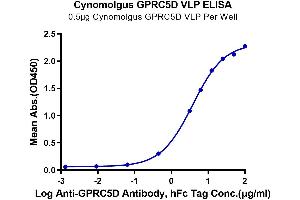 Immobilized Cynomolgus GPRC5D VLP (100 μL/well) at 5 μg/mL (100 μL/Well) on the plate. (GPRC5D Protein-VLP (AA 1-300))