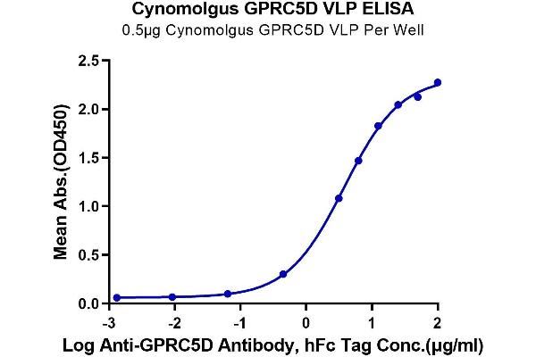 GPRC5D Protein-VLP (AA 1-300)