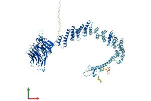 AlphaFold protein structure predicition of Human Recombinant VPS41 Protein, UniprotID P49754