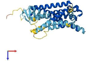 AlphaFold protein structure predicition of Human Recombinant OR1F2P Protein, UniprotID Q96R84 (OR1F2P Protein (AA 1-312) (His tag))