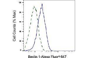 Validation of Beclin 1 knockdown using flow cytometry. (Recombinant Beclin 1 antibody)