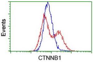 HEK293T cells transfected with either RC208947 overexpress plasmid (Red) or empty vector control plasmid (Blue) were immunostained by anti-CTNNB1 antibody (ABIN2454168), and then analyzed by flow cytometry. (CTNNB1 antibody)