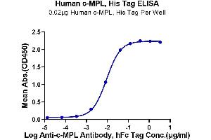 Immobilized Human c-MPL, His Tag at 0. (MPL Protein (AA 26-491) (His tag))