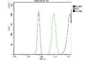 Flow Cytometry analysis of Neuro-2a cells using anti-SCG10/STMN2 antibody (ABIN7600734). (STMN2 antibody  (AA 23-170))