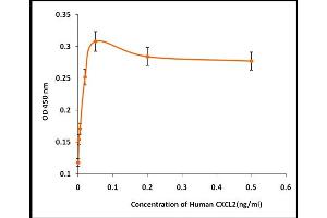 Activity Assay (AcA) image for Chemokine (C-X-C Motif) Ligand 2 (CXCL2) (Active) protein (ABIN5509317) (CXCL2 Protein)