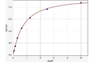 ELISA image for Nuclear Factor of kappa Light Polypeptide Gene Enhancer in B-Cells 1 (NFKB1) ELISA Kit (ABIN6968986)