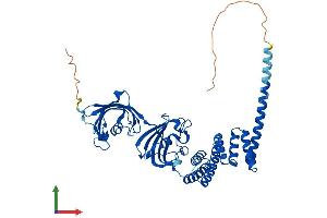 AlphaFold protein structure predicition of Human Recombinant FKBP4 Protein, UniprotID Q02790 (FKBP4 Protein (AA 1-459) (His tag))