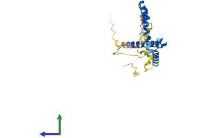 AlphaFold protein structure predicition of Mouse Recombinant Hes7 Protein, UniprotID Q8BKT2 (HES7 Protein (AA 1-225) (His tag))
