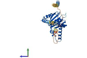 AlphaFold protein structure predicition of Human Recombinant NUS1 Protein, UniprotID Q96E22 (Nogo B Receptor Protein (NUS1) (AA 1-293) (His tag))