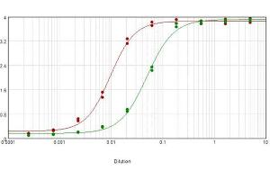 ELISA results of purified Rabbit Carbonic Anhydrase II Antibody tested against Carbonic Anhydrase II (erythrocytes). (CA2 antibody  (HRP))