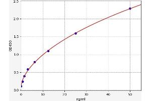 Typical standard curve (CD93 ELISA Kit)