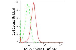 Flow cytometric analysis of TAGAP expression in HT- cells using TAGAP antibody (ABIN7800499), 1:2,000).