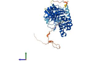 Protein Structure (PS) image for Dihydrouridine Synthase 2-Like (DUS2L) (AA 1-493) protein (His tag) (ABIN7547297)