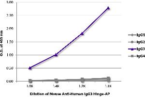 ELISA plate was coated with purified human IgG1, IgG2, IgG3, and IgG4. (Mouse anti-Human IgG3 (Hinge Region) Antibody (Alkaline Phosphatase (AP)))