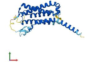 Protein Structure (PS) image for Dolichyl Pyrophosphate Phosphatase 1 (DOLPP1) (AA 1-238) protein (His tag) (ABIN7547227)