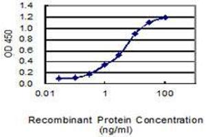Detection limit for recombinant GST tagged FAM174A is 0. (FAM174A antibody  (AA 1-190))