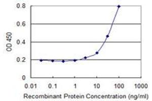 Detection limit for recombinant GST tagged PRDM4 is 1 ng/ml as a capture antibody. (PRDM4 antibody  (AA 476-575))