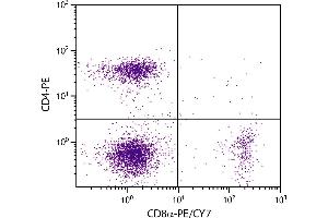 BALB/c mouse splenocytes were stained with Rat Anti-Mouse CD8α-PE/CY7. (CD8 alpha antibody  (PE-Cy7))