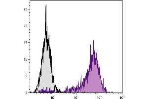 C57BL/6 mouse cytotoxic T lymphocyte cell line CTLL-2 was stained with Rat Anti-Mouse CD25-PE. (CD25 antibody  (FITC))