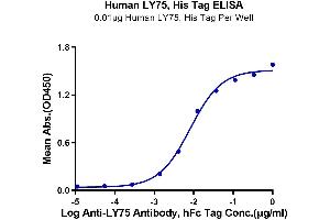 Immobilized Human LY75, His Tag at 0. (LY75/DEC-205 Protein (AA 28-1666) (His tag))